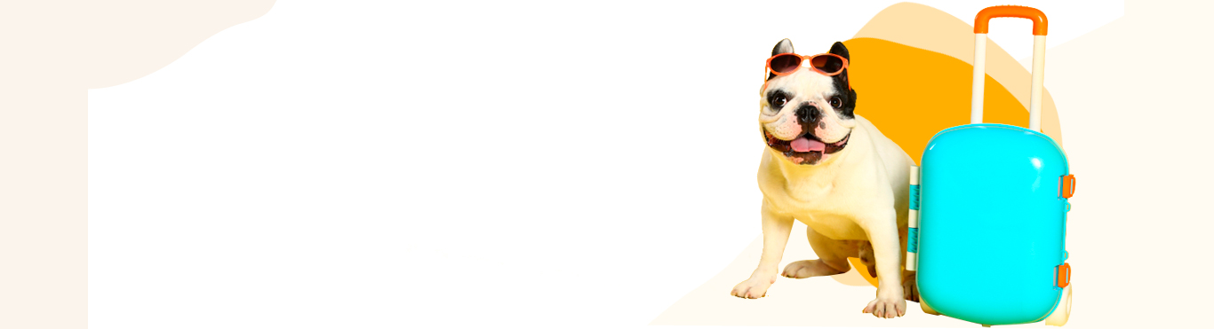 Pet Hotel / Overnight Services