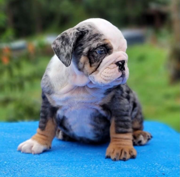 Refund and Returns Policy - 2