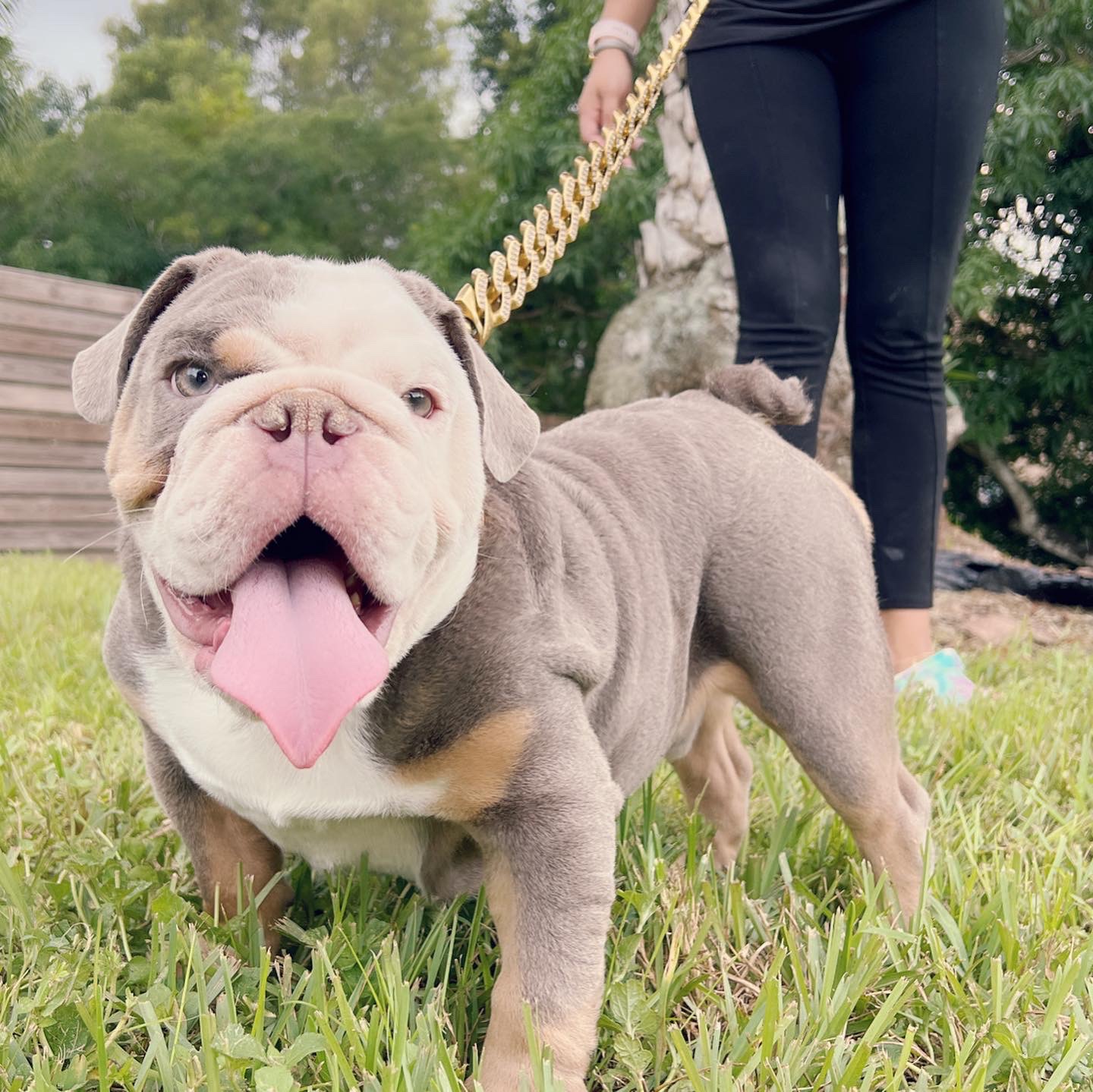 Pets Hotel / Overnight Services​ - 5